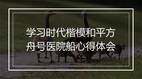 学习时代楷模和平方舟号医院船心得体会