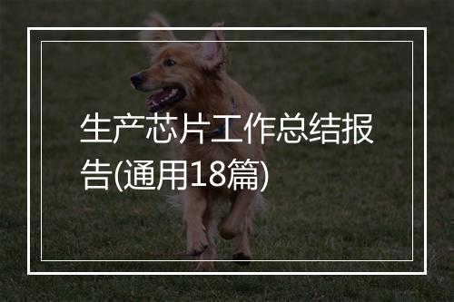 生产芯片工作总结报告(通用18篇)