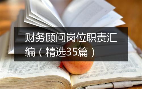 财务顾问岗位职责汇编(精选35篇)