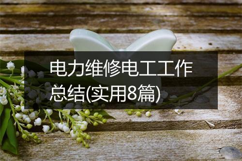电力维修电工工作总结(实用8篇)
