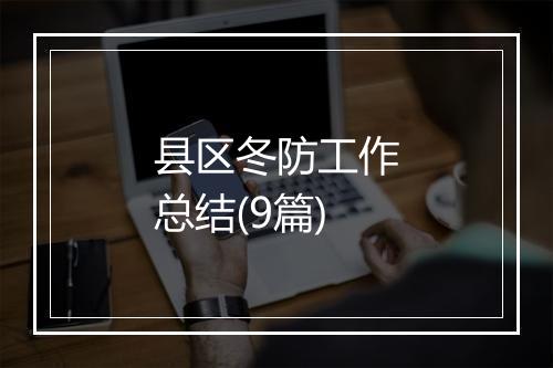 县区冬防工作总结(9篇)