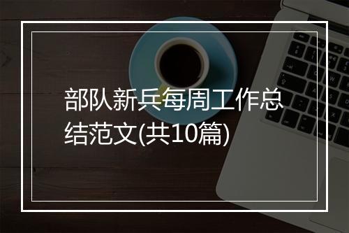 部队新兵每周工作总结范文(共10篇)