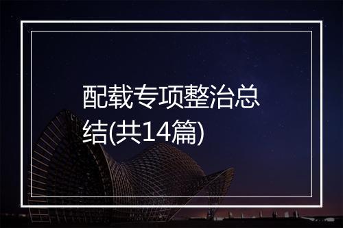 配载专项整治总结(共14篇)