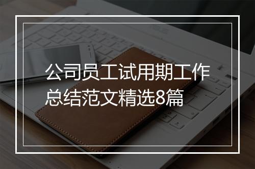 公司员工试用期工作总结范文精选8篇
