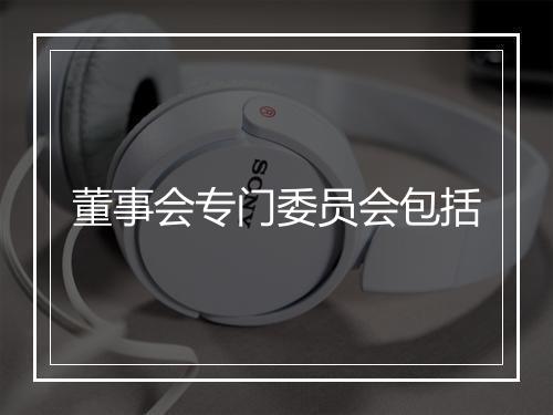 董事会专门委员会包括