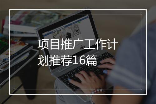 项目推广工作计划推荐16篇