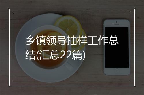 乡镇领导抽样工作总结(汇总22篇)