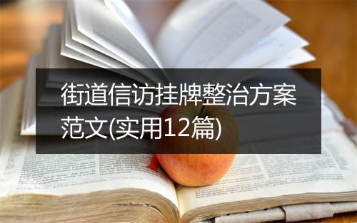 街道信访挂牌整治方案范文(实用12篇)