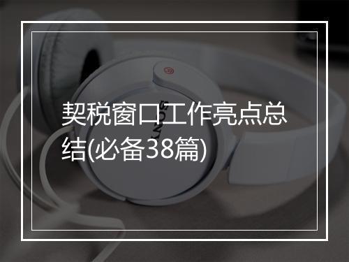 契税窗口工作亮点总结(必备38篇)