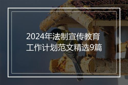 2024年法制宣传教育工作计划范文精选9篇