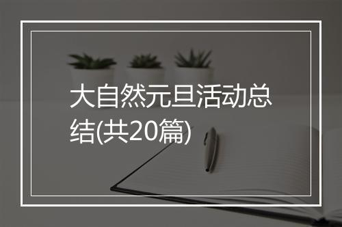 大自然元旦活动总结(共20篇)