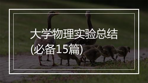 大学物理实验总结(必备15篇)