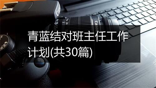 青蓝结对班主任工作计划(共30篇)
