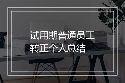 试用期普通员工转正个人总结