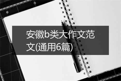 安徽b类大作文范文(通用6篇)