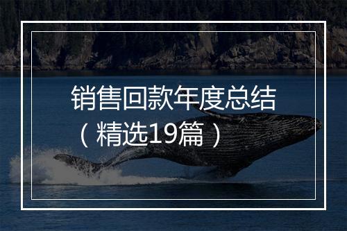 销售回款年度总结(精选19篇)