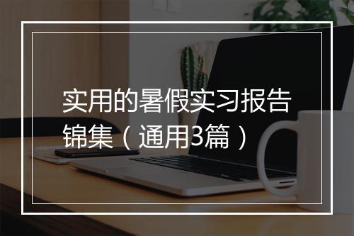 实用的暑假实习报告锦集(通用3篇)