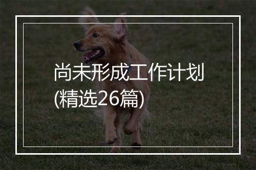 尚未形成工作计划(精选26篇)