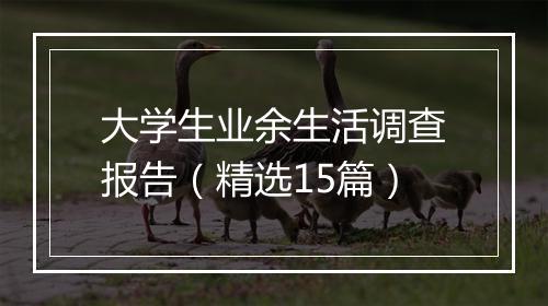 大学生业余生活调查报告(精选15篇)