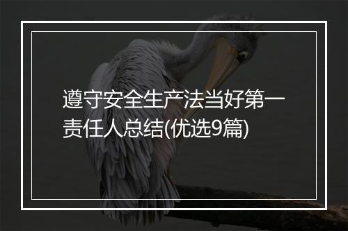 遵守安全生产法当好第一责任人总结(优选9篇)