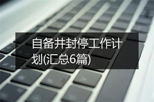 自备井封停工作计划(汇总6篇)