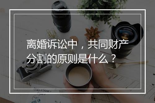 离婚诉讼中,共同财产分割的原则是什么?
