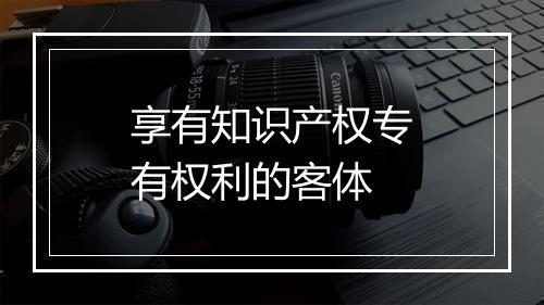 享有知识产权专有权利的客体