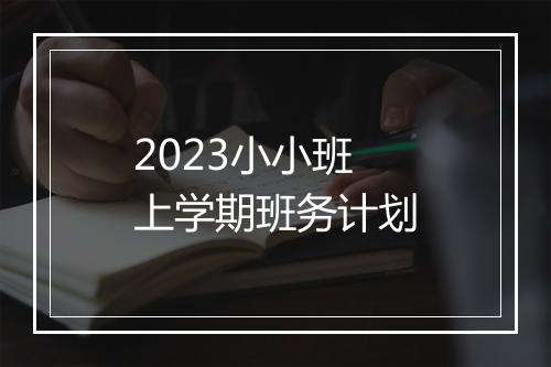 2023小小班上学期班务计划