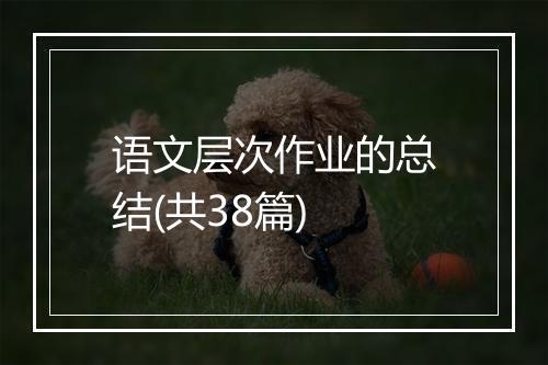 语文层次作业的总结(共38篇)