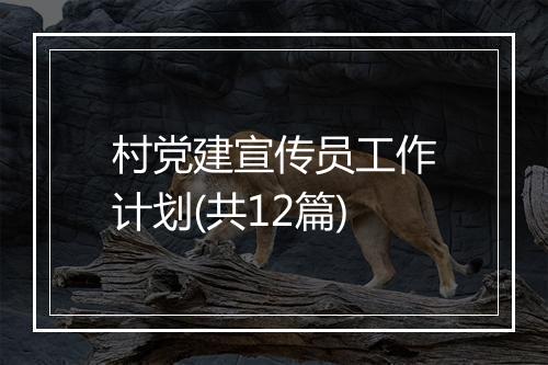 村党建宣传员工作计划(共12篇)