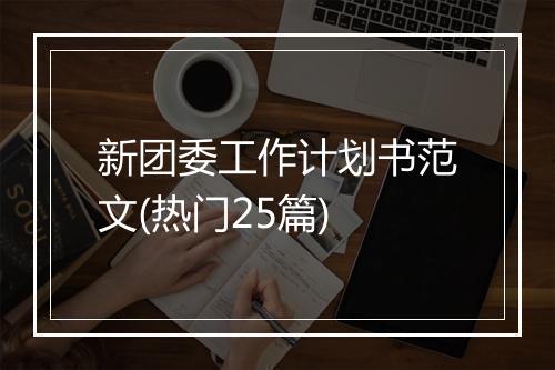 新团委工作计划书范文(热门25篇)