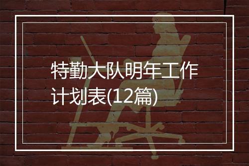 特勤大队明年工作计划表(12篇)