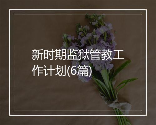 新时期监狱管教工作计划(6篇)