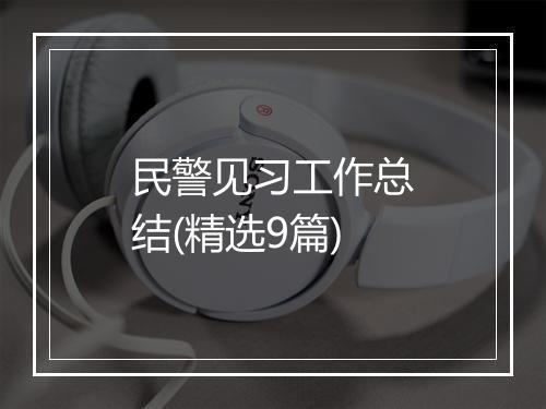民警见习工作总结(精选9篇)