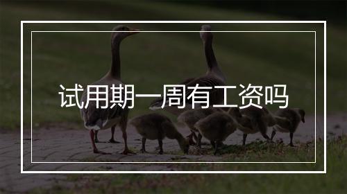 试用期一周有工资吗