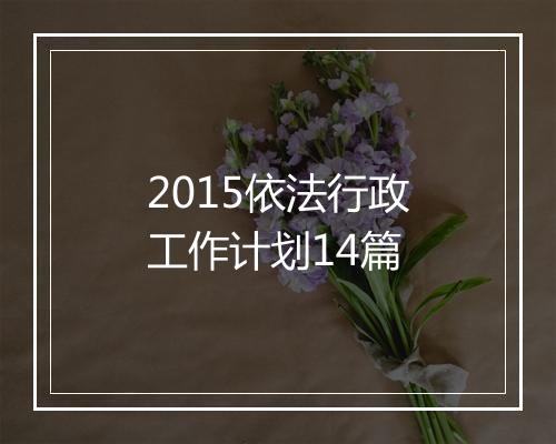 2015依法行政工作计划14篇