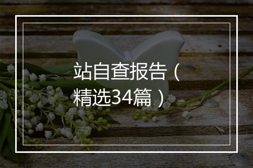 站自查报告(精选34篇)