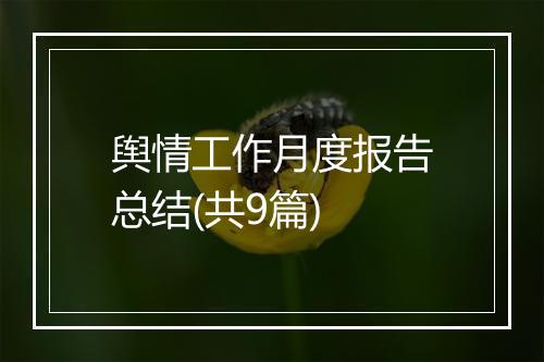 舆情工作月度报告总结(共9篇)