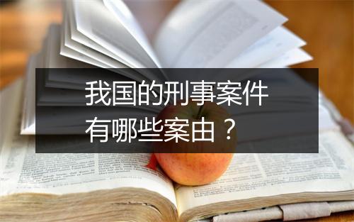 我国的刑事案件有哪些案由?