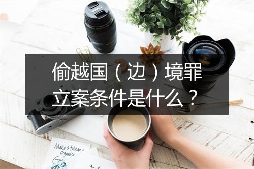 偷越国(边)境罪立案条件是什么?