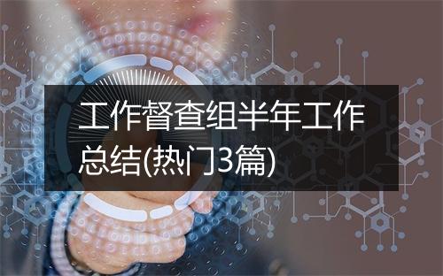 工作督查组半年工作总结(热门3篇)