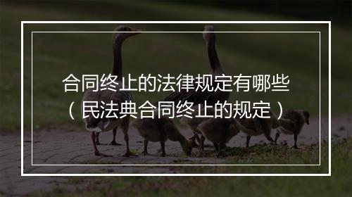 合同终止的法律规定有哪些(民法典合同终止的规定)