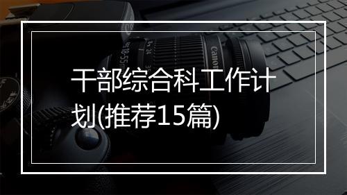 干部综合科工作计划(推荐15篇)