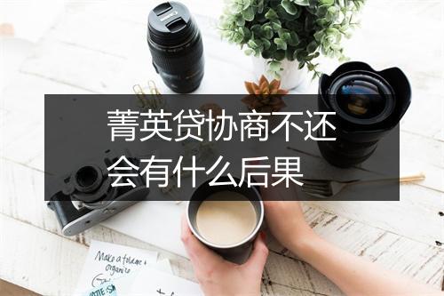 菁英贷协商不还会有什么后果