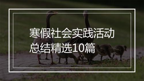 寒假社会实践活动总结精选10篇