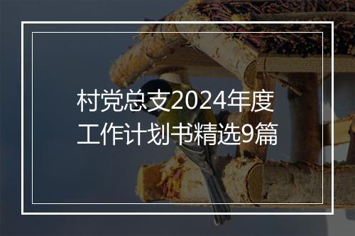 村党总支2024年度工作计划书精选9篇