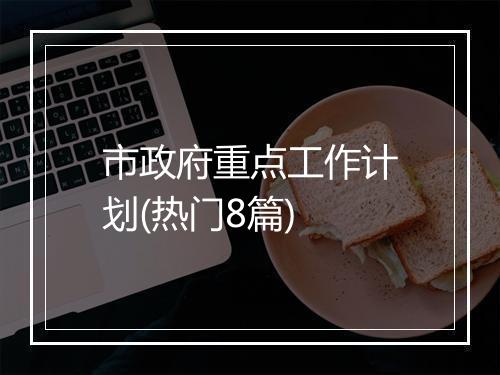 市政府重点工作计划(热门8篇)