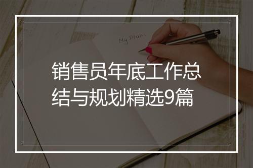 销售员年底工作总结与规划精选9篇