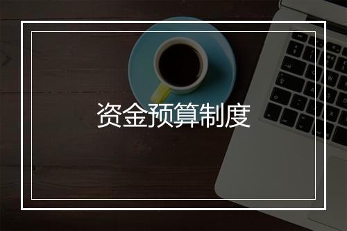 资金预算制度