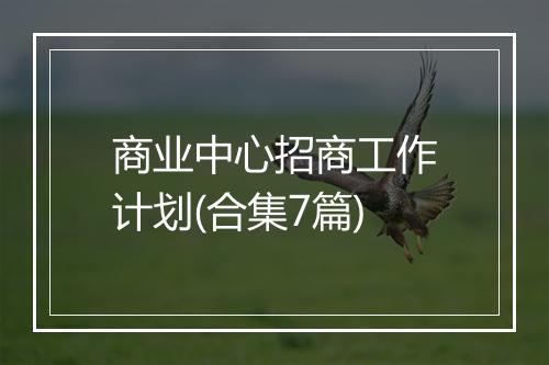 商业中心招商工作计划(合集7篇)